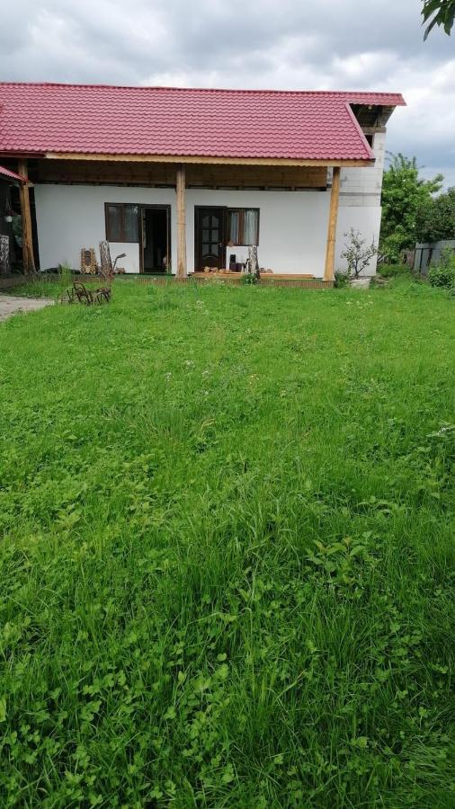 Jugul Taranului Agropensiune Polovragi, Gorj Villa Buitenkant foto