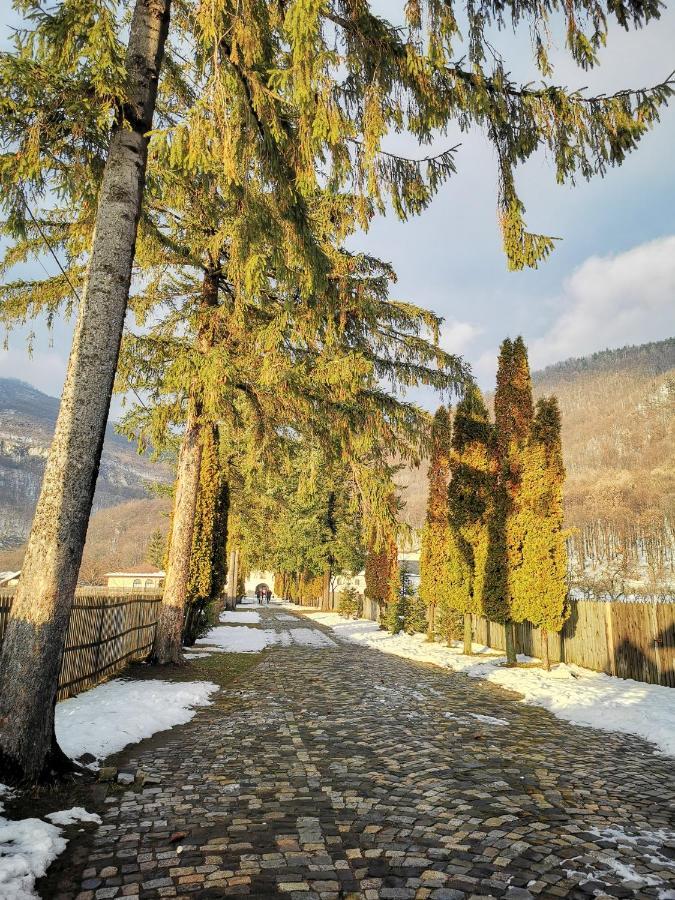 Jugul Taranului Agropensiune Polovragi, Gorj Villa Buitenkant foto