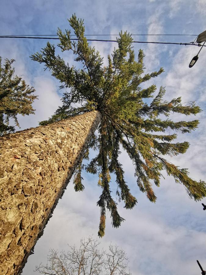 Jugul Taranului Agropensiune Polovragi, Gorj Villa Buitenkant foto